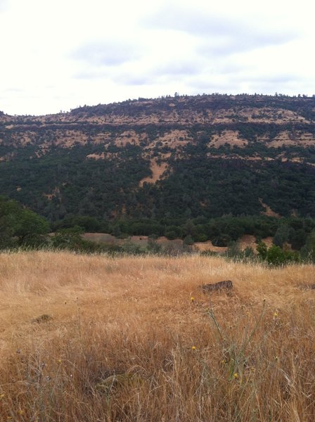 Bidwell Park Tour