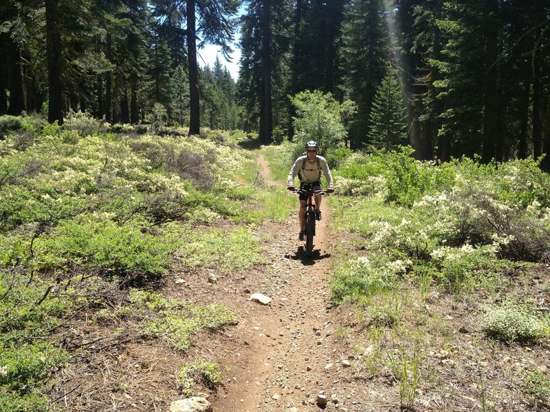 Page Meadows
