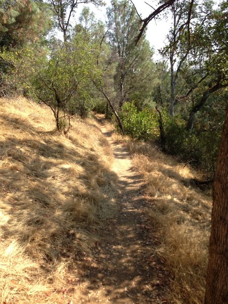 Top of Second Hill