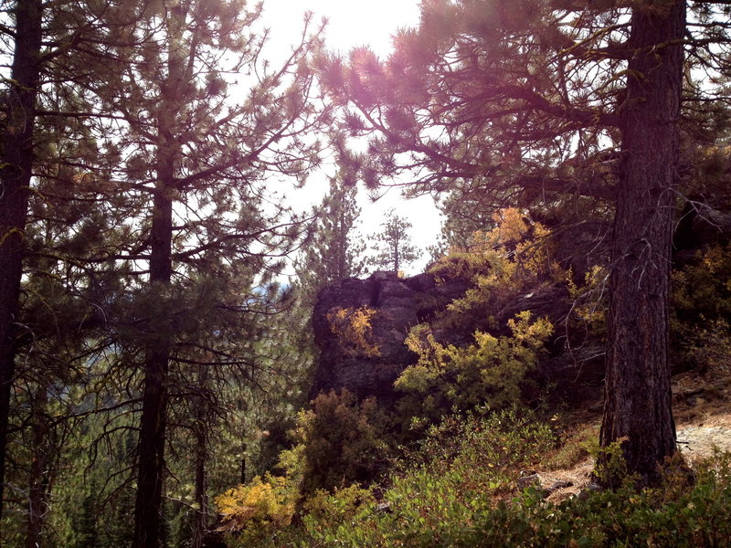Climb this rock for a great view