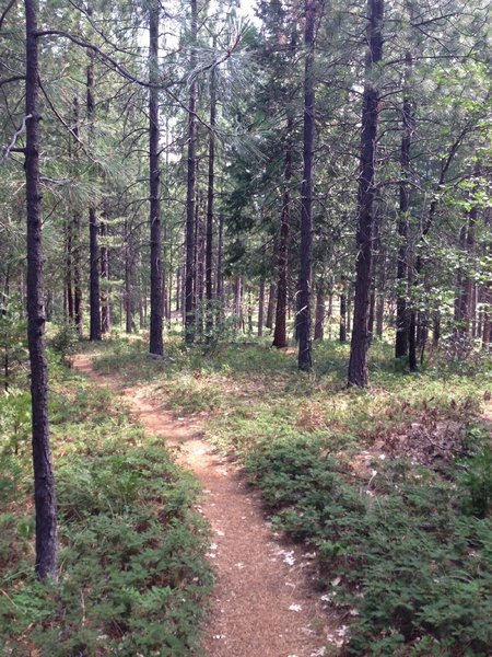 Just Before Final Downhill