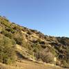 View down North Peak Trail to Devil's Elbow