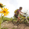 Berms and flowers are plentiful on the Rotary trail.