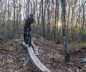 road bikes for tall riders