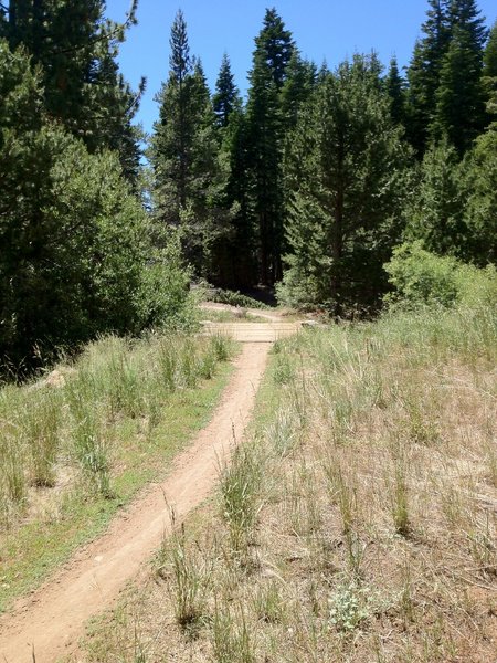 Antone Meadows loop