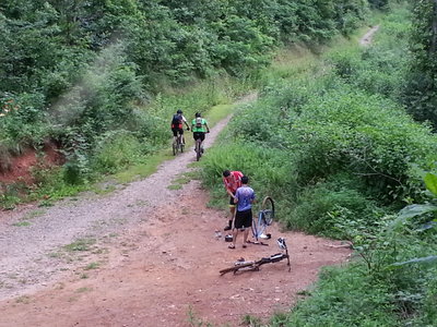 Ingles Field Gap Mountain Bike Trail, Bent Creek, North Carolina