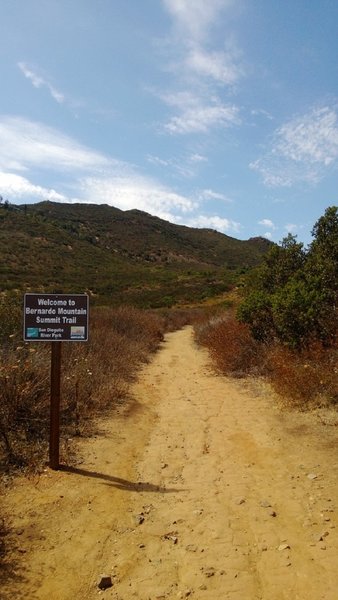 Bernardo Summit Trail