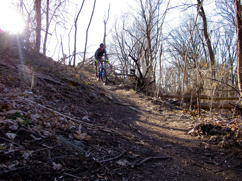 Cunningham Park Mountain Bike Trail 