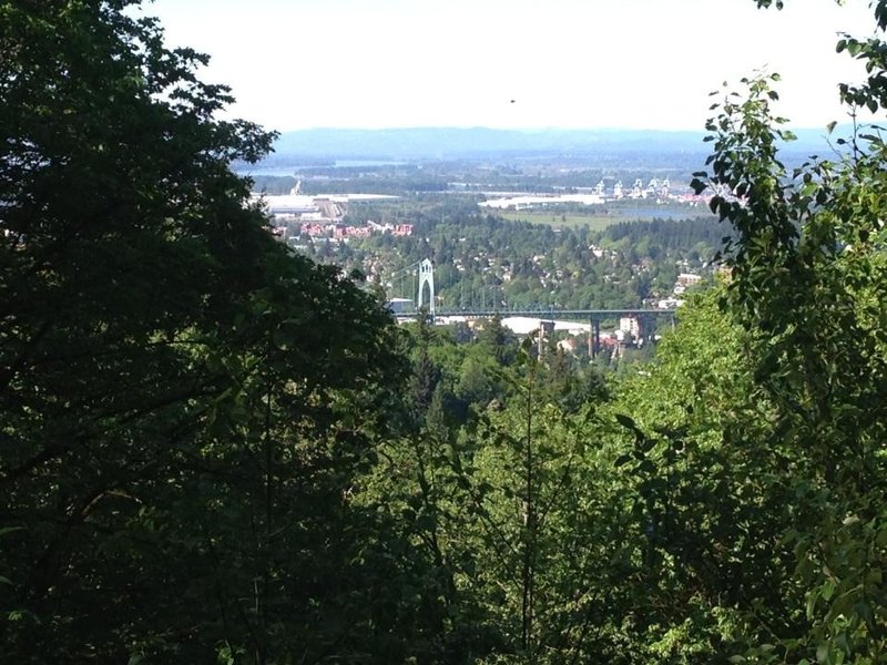 Saltzman Road