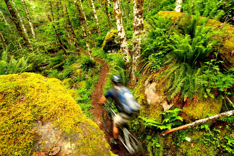 Slipping through some moss-covered boulders on the Wilson River Trail.