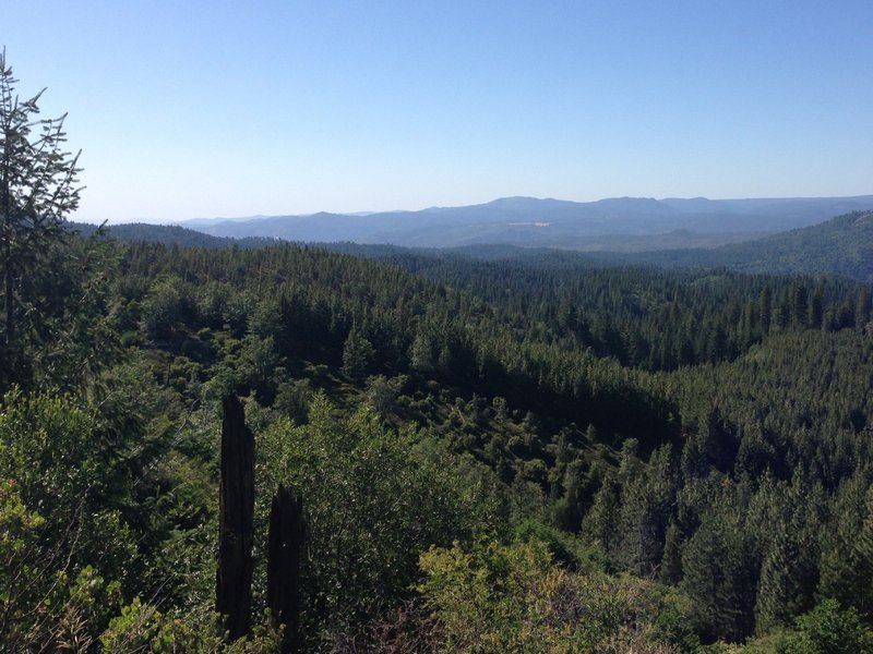 View on the way back down riding on 2s25 ridge.  View is back into Groveland and down the 120 corridor.