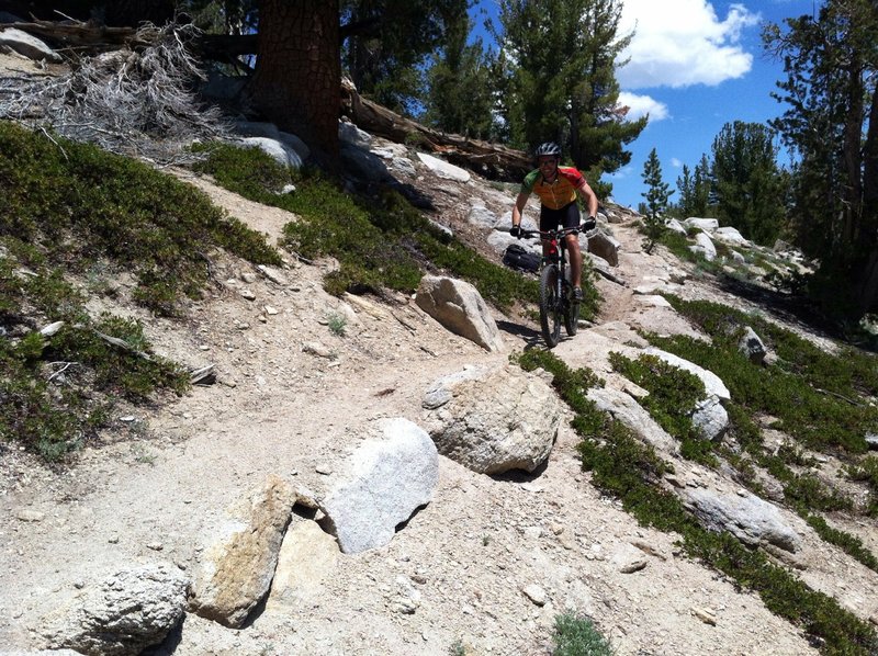 heavenly mountain biking