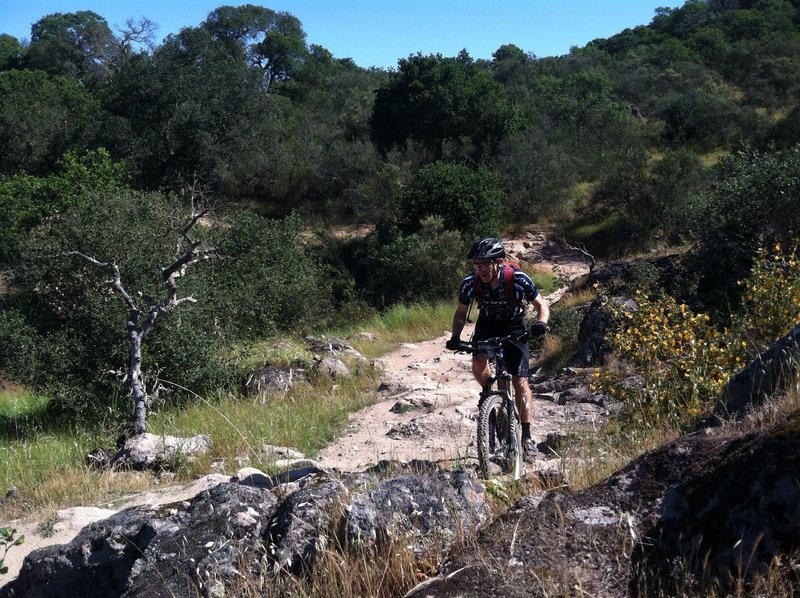 River To Ridge Trail Map River To Ridge Trail Mountain Bike Trail, Napa, California