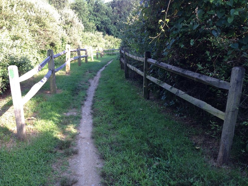 Harmony Hill Red Trail Mountain Bike Trail, Downingtown, Pennsylvania