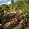 Rocky 7400 trail through the scrub oak.