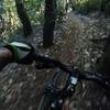 Riding through awesome singletracks!