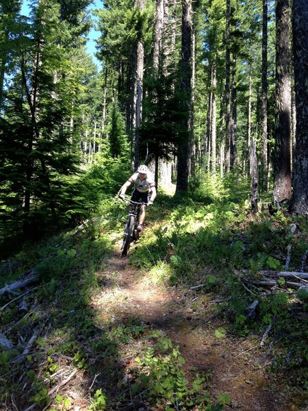 Singletrack, all day long.