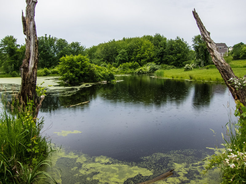 Have-Not-Pond (Boxborough, MA)