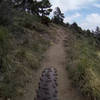 Looking back up the trail. Rocky sections lead to smooth and fast dirt