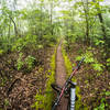 smooth singletrack, for a couple hundred feet