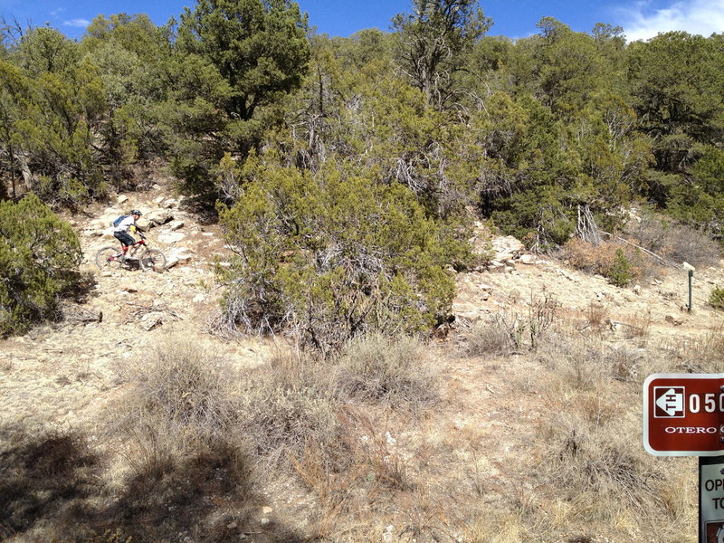 Descending the last bit of Blue Ribbon to the Otero Canyon junction.