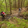 Three Thirty Eight offers a little more pedaling than other trails at Sandy Ridge