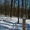 Dogwood trail marker