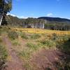 South end of the trail. Lots of free-range cattle are out during the summer.