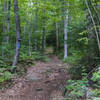 Elkins road, another slightly more technical trail in Beaver Brook.