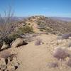 More ridgetop running. Notice trail vagueness, you might not see any other tracks.