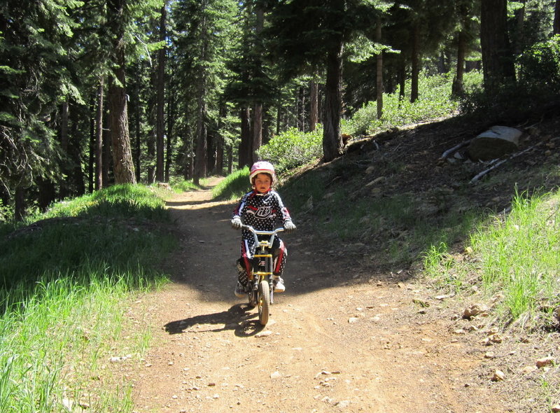 Great for small bikes too!
