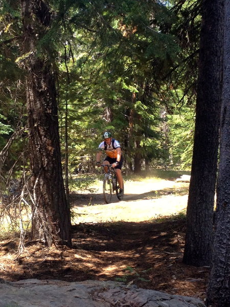 Mellow singletrack