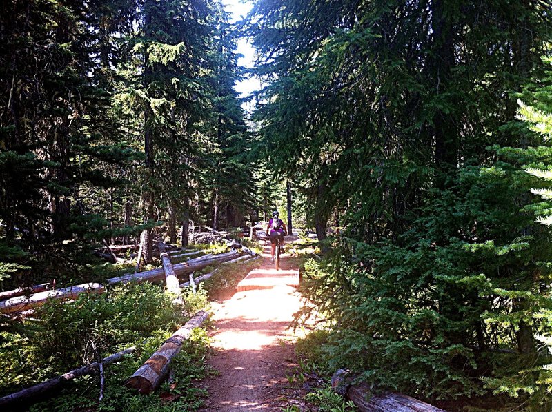Crossing the 1st bridge on the Cultus Loop