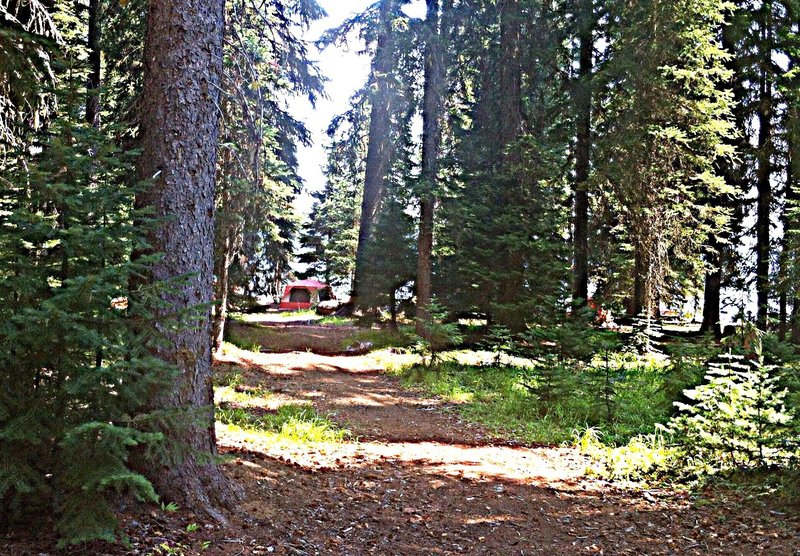 Campsites on the remote west end of Cultus Lake