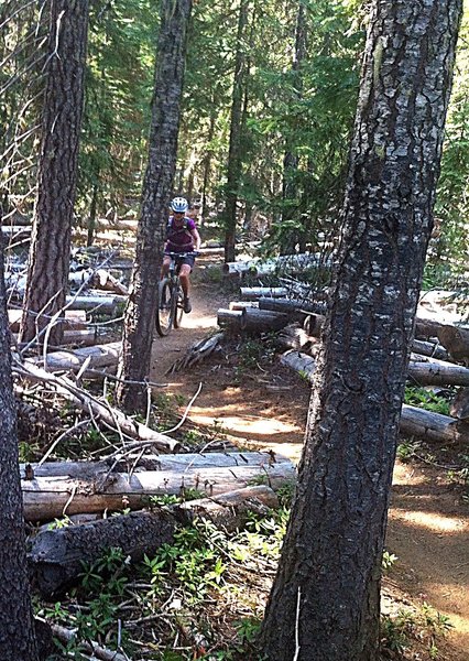 Dodging the trees