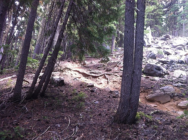Bottom of the short, steep, technical section
