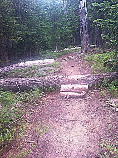 One of several log roll overs