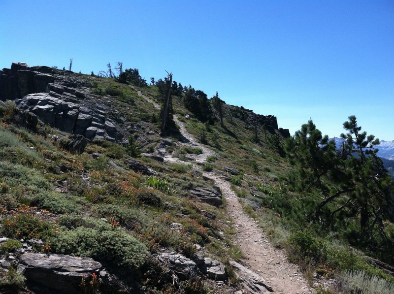 One of many steep sections along the trail.