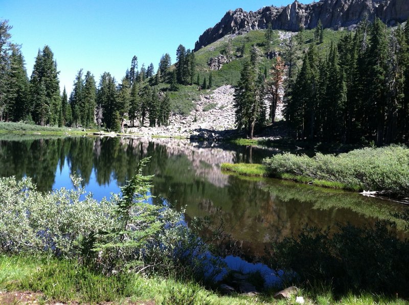 A view of Ellis Lake