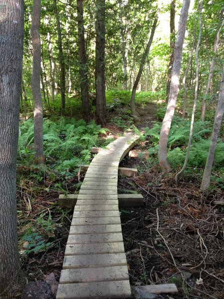 Barking Frog Loop Mountain Bike Trail, Houghton, Michigan