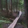 On Moose Alley.