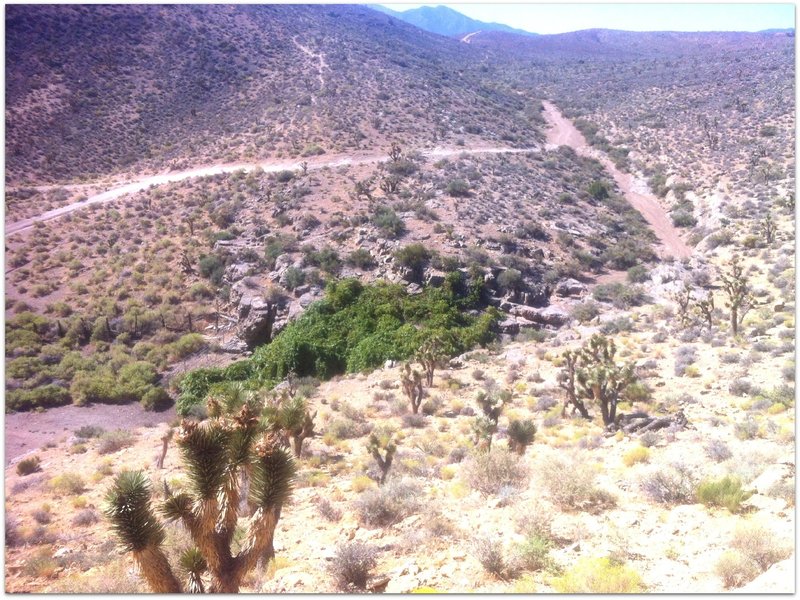 A view looking down at Grapevine Springs. A small corral with natural spring and livestock trough. Kind of odd to see in the middle of a desert.