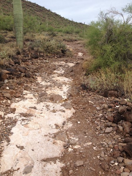 More summer rain damage to trail. will be fixed soon but be careful here, much steeper than it looks and very unforgiving.