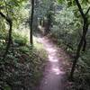 A bit of trail, zoom up, zoom down!
