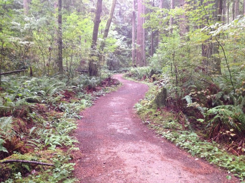 Redmond Watershed Trail