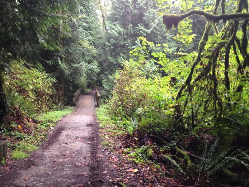 The watershed is filled with deep, lush vegetation and in best conditions after rainfall (or during light rainfall).  Take it easy around the several wooden bridges, they can be very slippery for knobby tires.