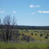 Meadow at the trailhead