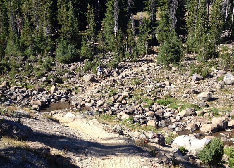 Metolius-Windigo: Swampy