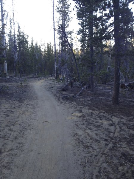Swede Ridge Loop