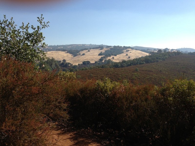 Ridge Summit